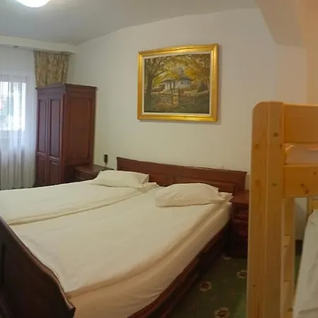 Pensiunea Pasul Clabucetului 3*