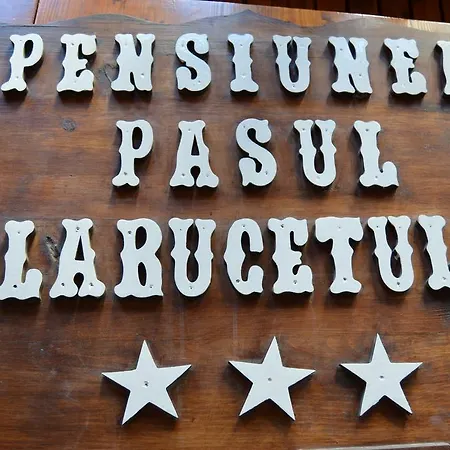 Πανσιόν Pensiunea Pasul Clabucetului Predeal